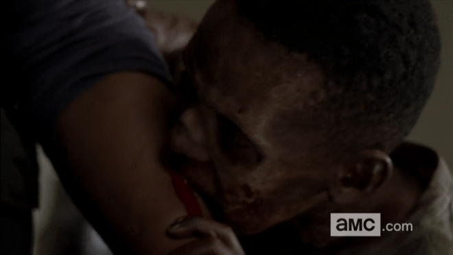 walkingdead.wikia.com